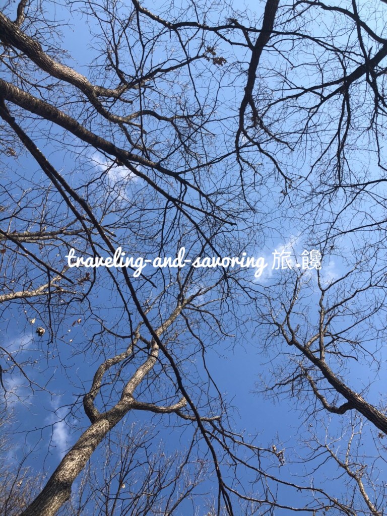 旅.饞–韓國之旅2 首爾：小法國村