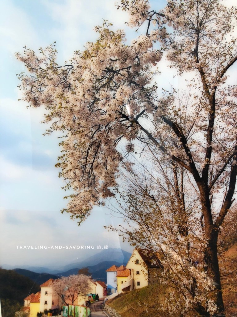 旅.饞–韓國之旅2 首爾：小法國村