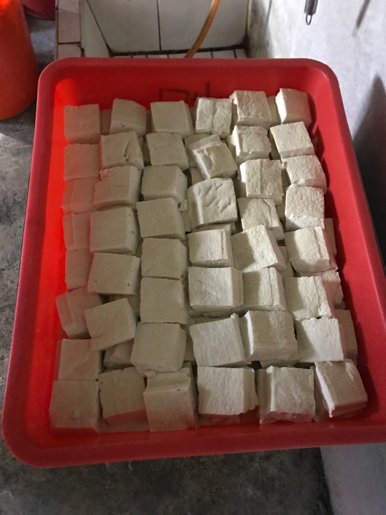 台東池上必吃美食-福原豆腐店 台東池上必吃美食-福原豆腐店