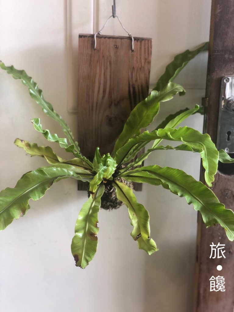 旅饞-老宅．鐵道．甜點：日佐甜室的三合一