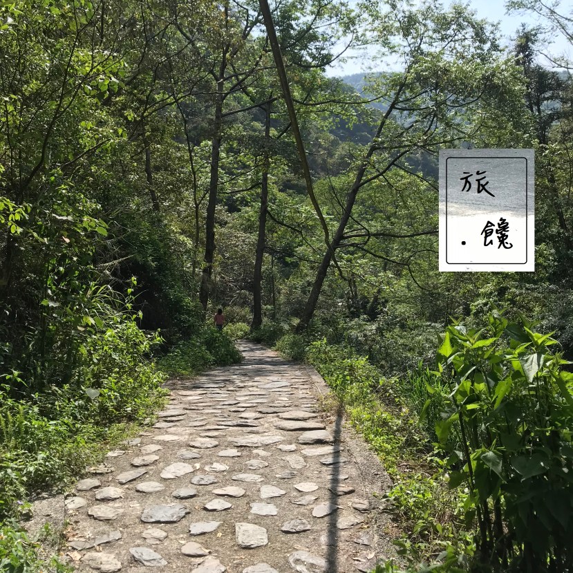 南投埔里 觀音瀑布步道